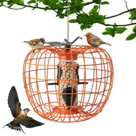 Hanging Squirrel-Proof Bird Feeder with Cage