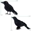 6 Pack Halloween Black Feathered Crows Realistic Party Home Decorations