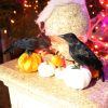 6 Pack Halloween Black Feathered Crows Realistic Party Home Decorations