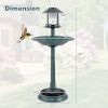 Bird Bath Feeder with Solar Light for Garden Backyard Decor