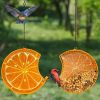 Yard Garden Decoration Hanging Panoramic Outside Bird Feeder